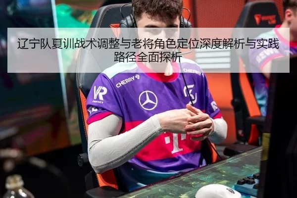 辽宁队夏训战术调整与老将角色定位深度解析与实践路径全面探析